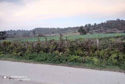 زمین در روستای اقمشهد حدود ۳هزارمتر