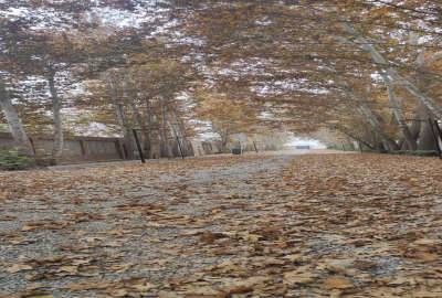 زمین مسکونی شهریار سند تک برگ