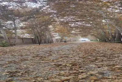 زمین مسکونی شهریار سند تک برگ