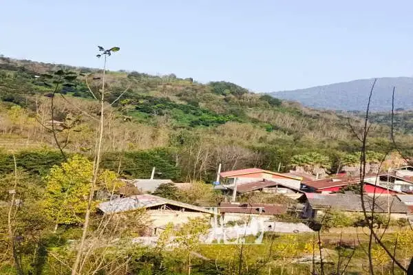 فروش زمین باغی مسکونی اطاقور دهستان پروش - تصویر 3