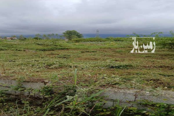 زمین مسکونی پروانه دار مازندران نشتارود شمس آباد-3