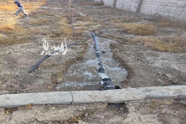 فروش چهاردیواری باغی با تعدادی درخت پسته انار و به و تزئینی-3