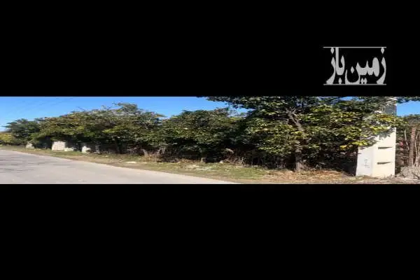 فروش زمین مرکبات واقع در تیرکلا - تصویر 2