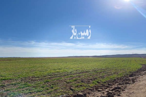 فروش زمین فوری جهت سرمایه گذاری جاده ساوه غرق آباد-2