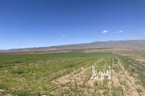 فروش زمین فوری جهت سرمایه گذاری جاده ساوه غرق آباد-4
