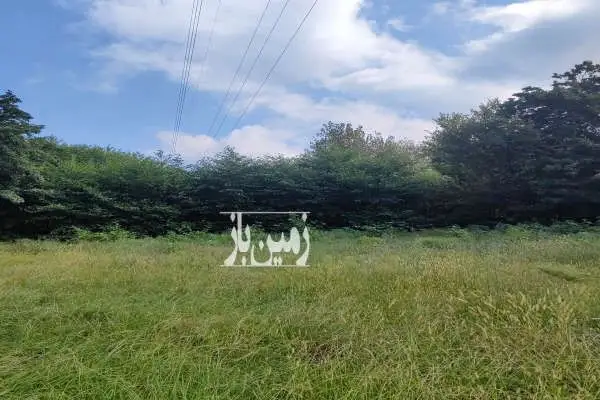 زمین مناسب شهرک سازی رامسر میان حاله سادات شهر - تصویر 2