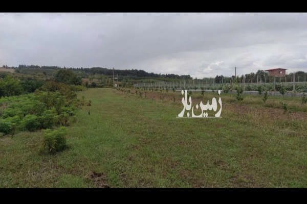 فروش زمین ۱۲۰۰متر در روستای اسبوکلا ساری-3