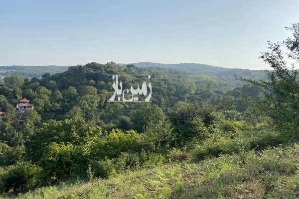 زمین باغی واقع در سیکوه تپه ساری-3