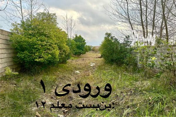 زمین دلباز ۲۵۰۰ متر سرمایه گذاری-2