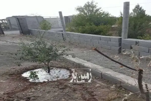 باغ و باغچه و درخت کشاورزی تنکمان روستای علی سید - تصویر 2