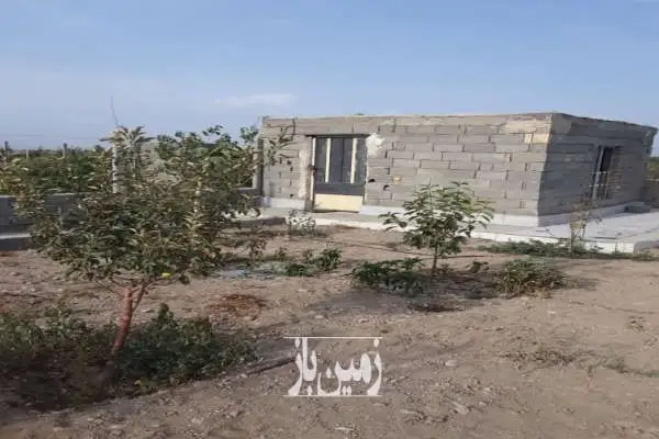 باغ و باغچه و درخت کشاورزی تنکمان روستای علی سید - تصویر 3