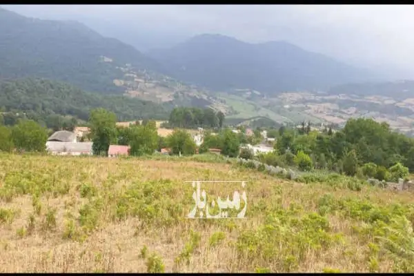 فروش زمین در روستای ورند ساری - تصویر 2