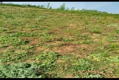 فروش زمین در روستای ورند ساری