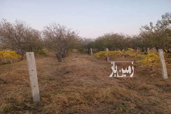 فروش باع انگور و الوچه یک هکتار مراغه جاده اغکند-1