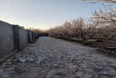فروش باغ بعد از روستای محمد آباد ۸۰۰ متر