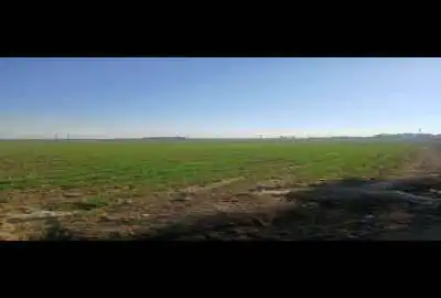 زمین کشاورزی مناسب باغ و باغچه شریف اباد پاکدشت