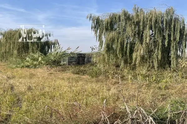 زمین باغی ۵ کیلومتری دریا محموداباد روستای گلیرد - تصویر 2