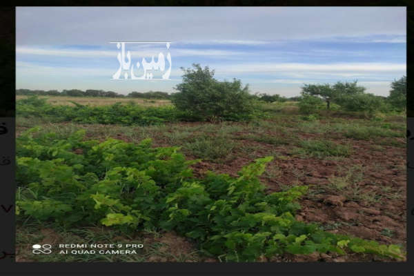باغ انگور ۱۰۰۰ متری در جاده رشت روستای رامشان-3