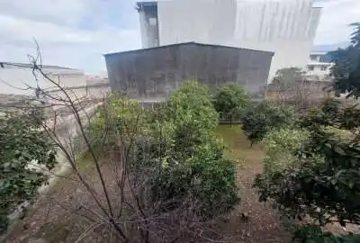 فروش باغ خیابان قائم بهشهر