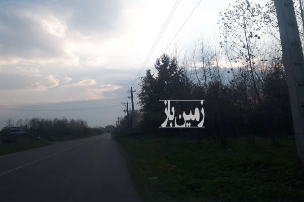 زمین باغی جاده گلسفید روستای فتیده لنگرود-1
