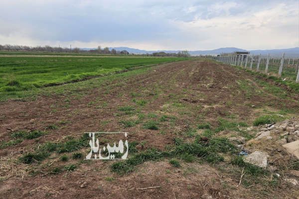 زمین زراعی با موقعیت جغرافیایی مناسب ویه طرف فنس-1