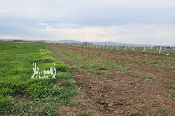 زمین زراعی با موقعیت جغرافیایی مناسب ویه طرف فنس-2