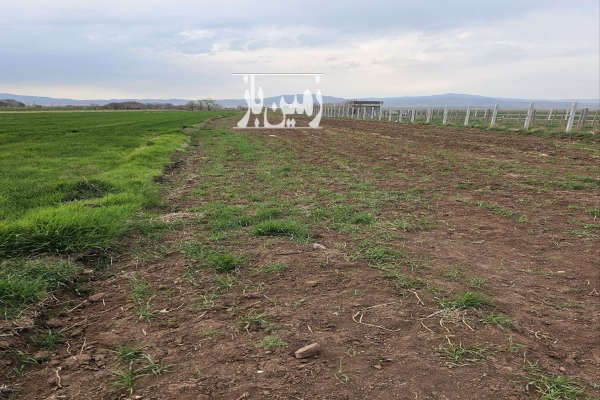زمین زراعی با موقعیت جغرافیایی مناسب ویه طرف فنس-3