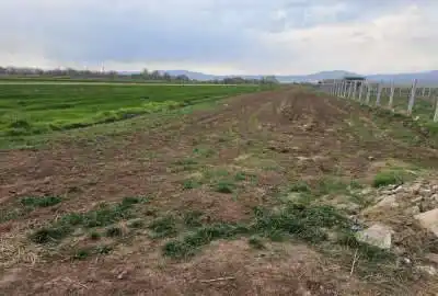 زمین زراعی با موقعیت جغرافیایی مناسب ویه طرف فنس