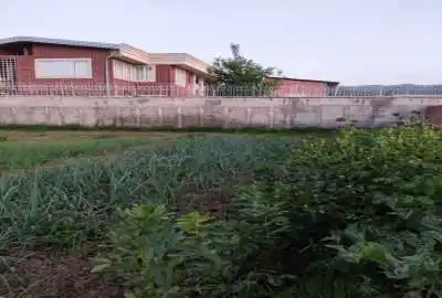 فروش زمین کشاورزی رو به روی جاده عباس آباد