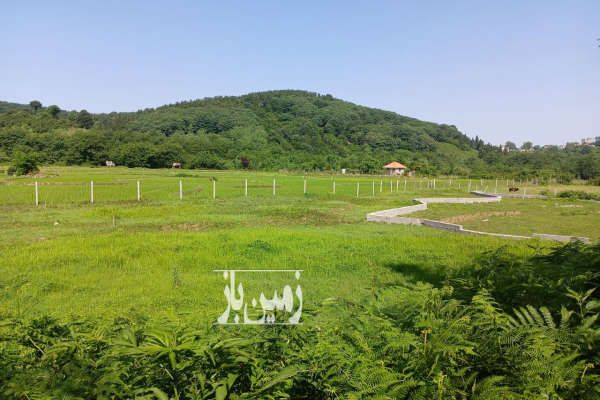 فروش ۲۸۰۰ متر زمین مسکونی در سیاهکل روستای توشی-3