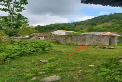فروش ۲۸۰۰ متر زمین مسکونی در سیاهکل روستای توشی