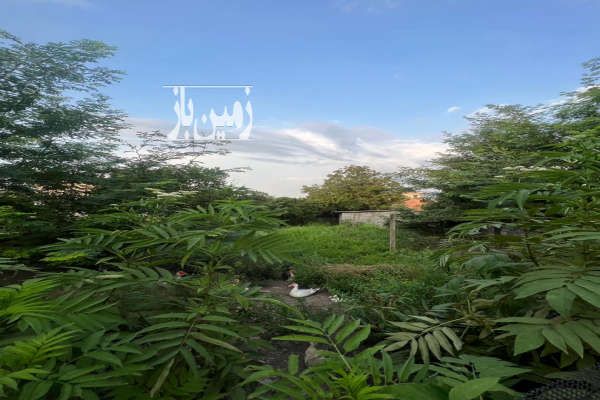 فروش زمین در متل قو سیسرا نارنج بندبن-1