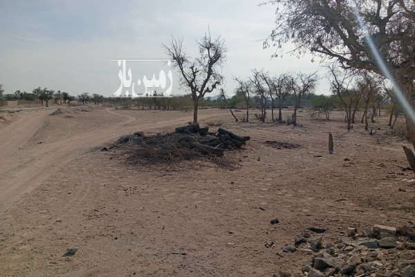 زمین متراژ بالا روستای توریان قشم-2