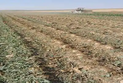 زمین کشاورزی آبی در روستای قر گل