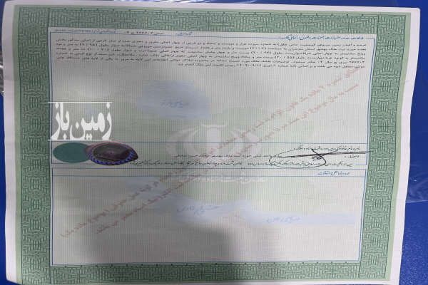 زمین سند تک برگ بسیارخوشقواره خیابان سنگشکن-1
