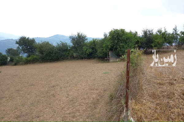 فروش زمین شمال ساری جاده کیاسر روستای امره-2