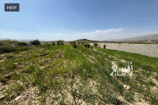 باغشهری سیاخ دارنگون شیراز-2