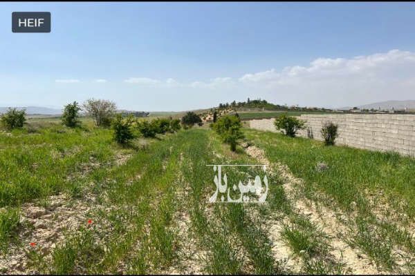 باغشهری سیاخ دارنگون شیراز-3