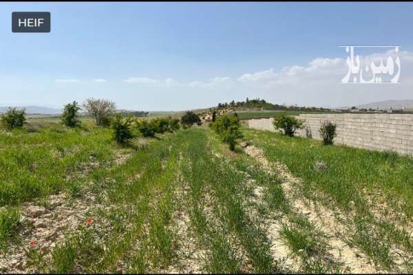 باغشهری سیاخ دارنگون شیراز-4
