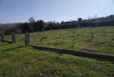 زمین در روستای امره ساری