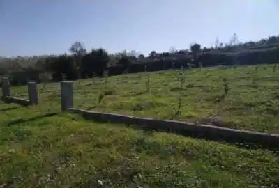 زمین در روستای امره ساری