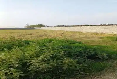 زمین باغی واقع در روستای انجپل