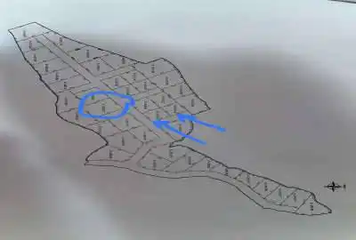 زمین شمال چالوس تازه آباد شاهد