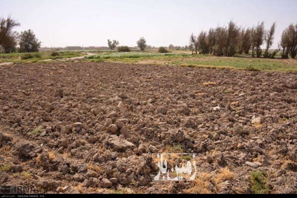 زمین باغی در محدود پلائین اسلامشهر-1