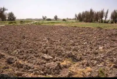 زمین باغی در محدود پلائین اسلامشهر