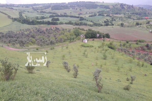 باغ شهر در منطقه کوهستانی توتکابن-1