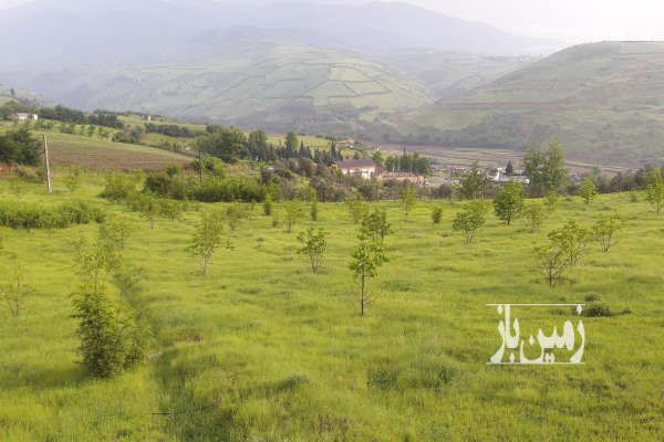 باغ شهر در منطقه کوهستانی توتکابن-2