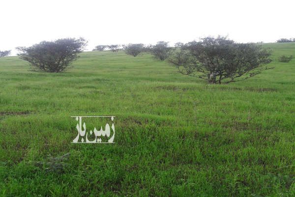 باغ شهر در منطقه کوهستانی توتکابن-4