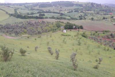باغ شهر در منطقه کوهستانی توتکابن