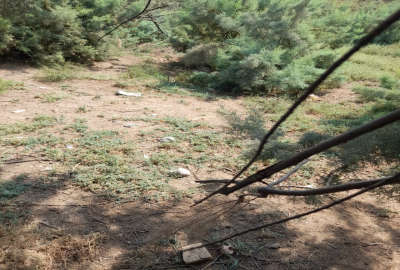 فروش زمین کشاورزی آبی زمینهای موسوم ب آلمانی